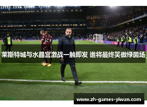 莱斯特城与水晶宫激战一触即发 谁将最终笑傲绿茵场 莱斯特城与水晶宫激战一触即发 谁将最终笑傲绿茵场